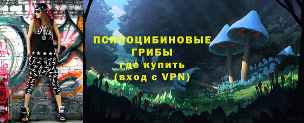 таблы Дмитровск
