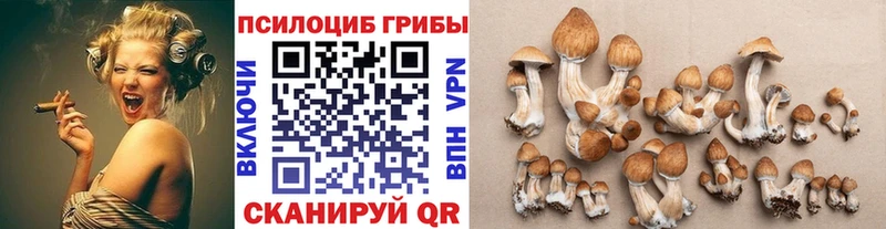 Галлюциногенные грибы GOLDEN TEACHER Салехард
